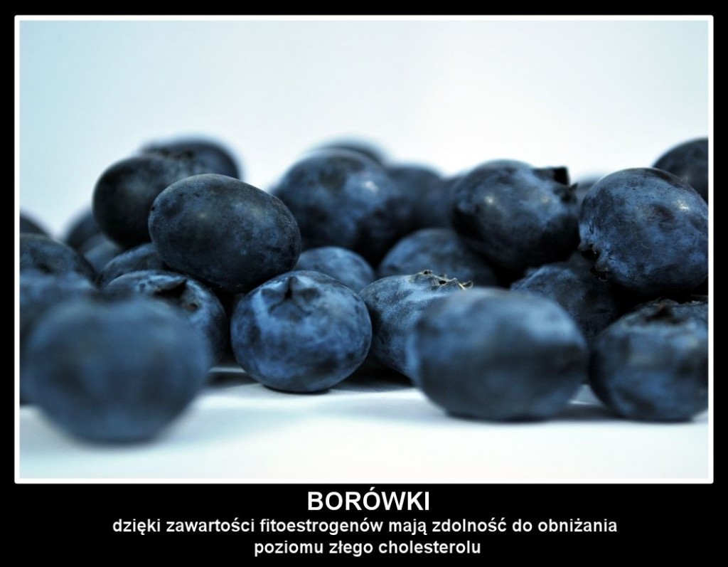 borówki 2